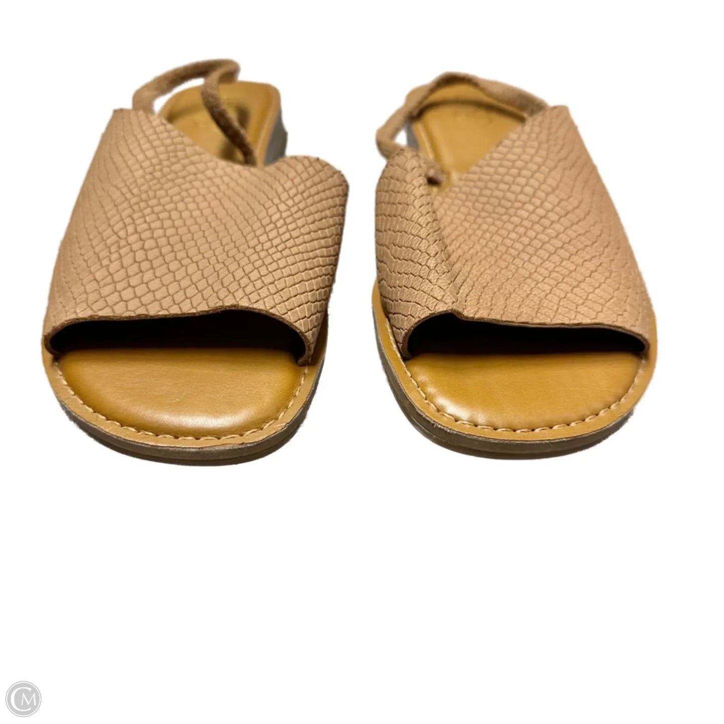 Sandals Flats By Franco Sarto In Brown, Size: 9