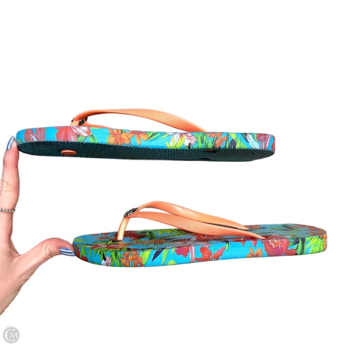 Sandals Flats By Tommy Bahama In Blue & Orange, Size: 7