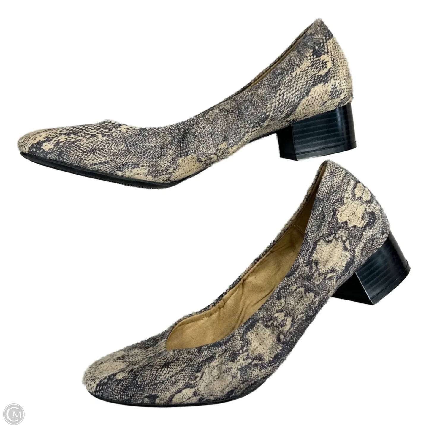 Shoes Heels Block By Naturalizer In Snakeskin Print, Size: 11