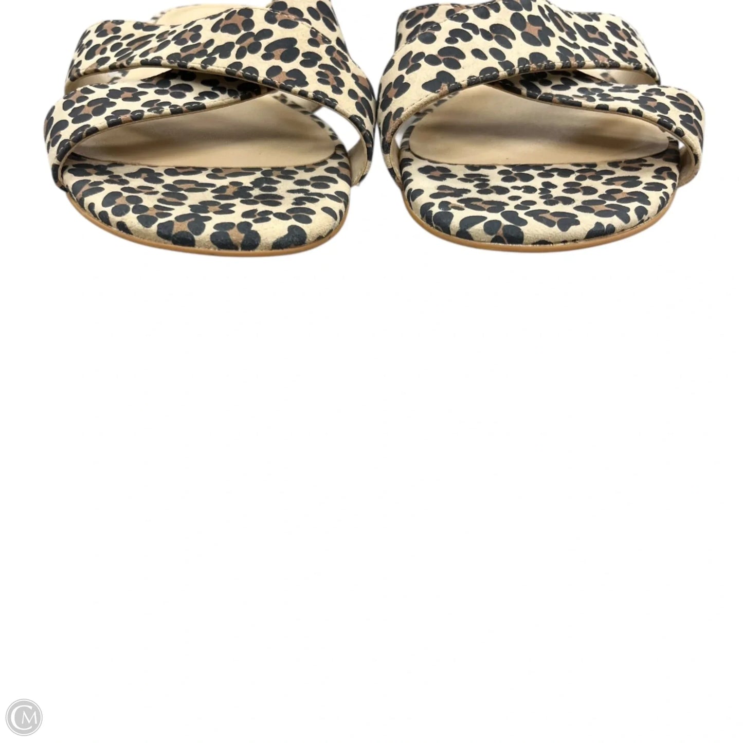 Sandals Designer By Stuart Weitzman In Leopard Print, Size: 9