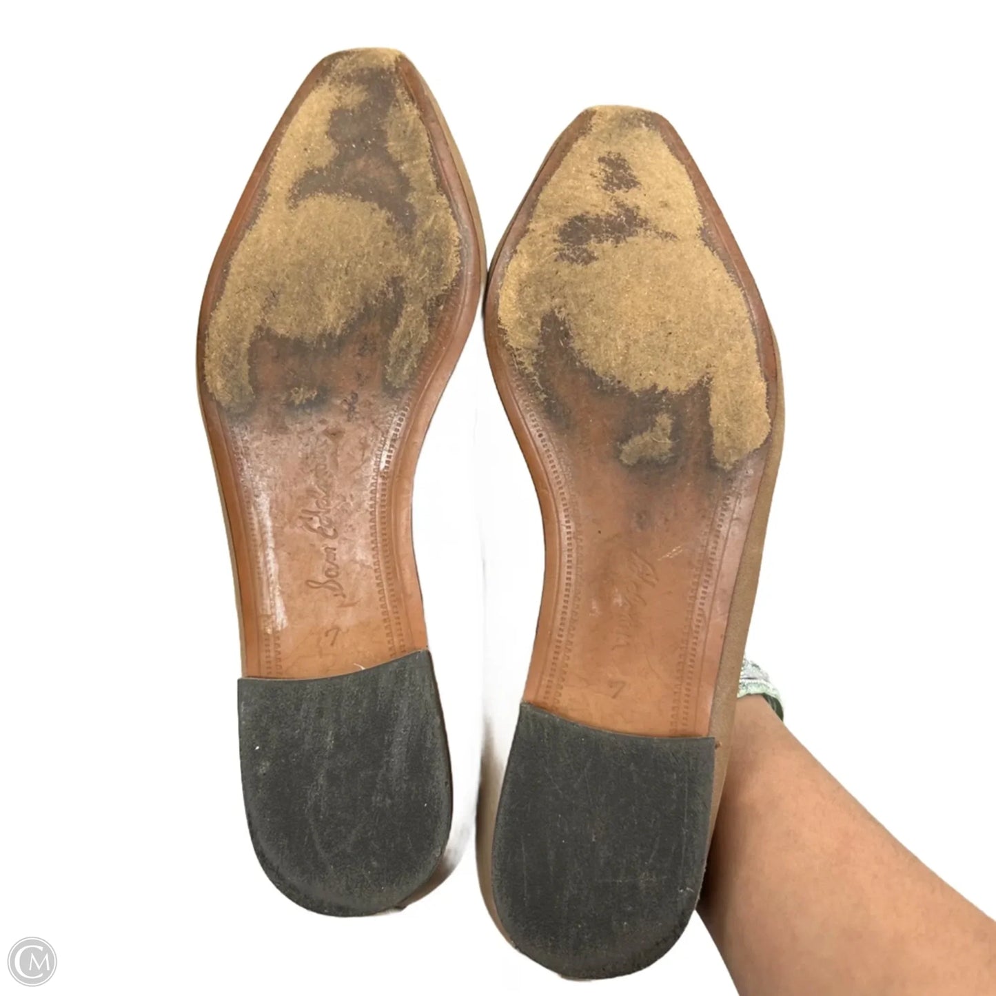 Shoes Flats By Sam Edelman In Brown, Size: 7