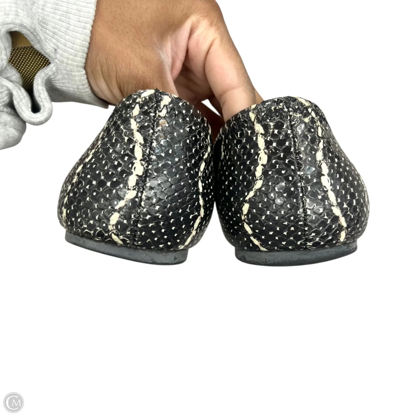 Shoes Designer By Tory Burch In Snakeskin Print, Size: 10