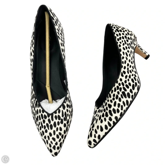 Shoes Heels Kitten By Clarks In Animal Print, Size: 8.5