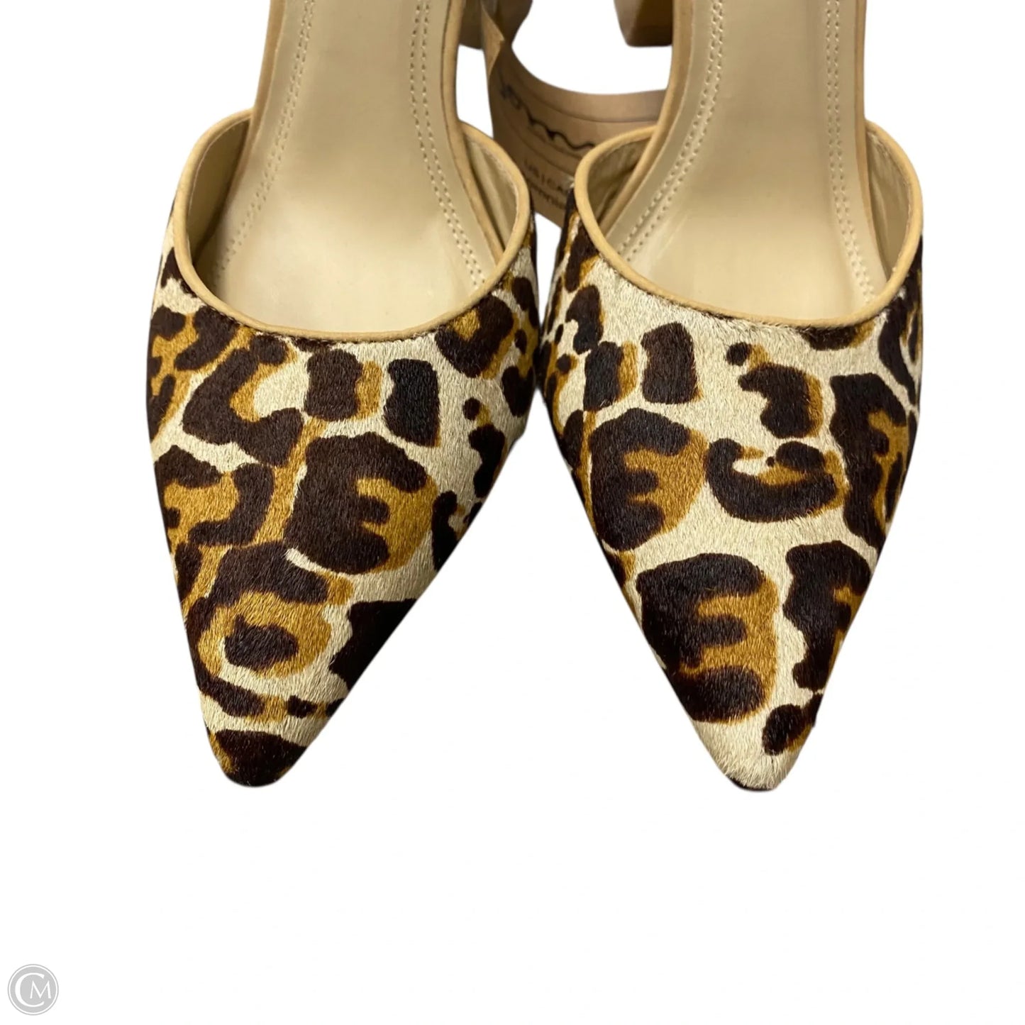 Shoes Heels Kitten By Somnia In Leopard Print, Size: 5