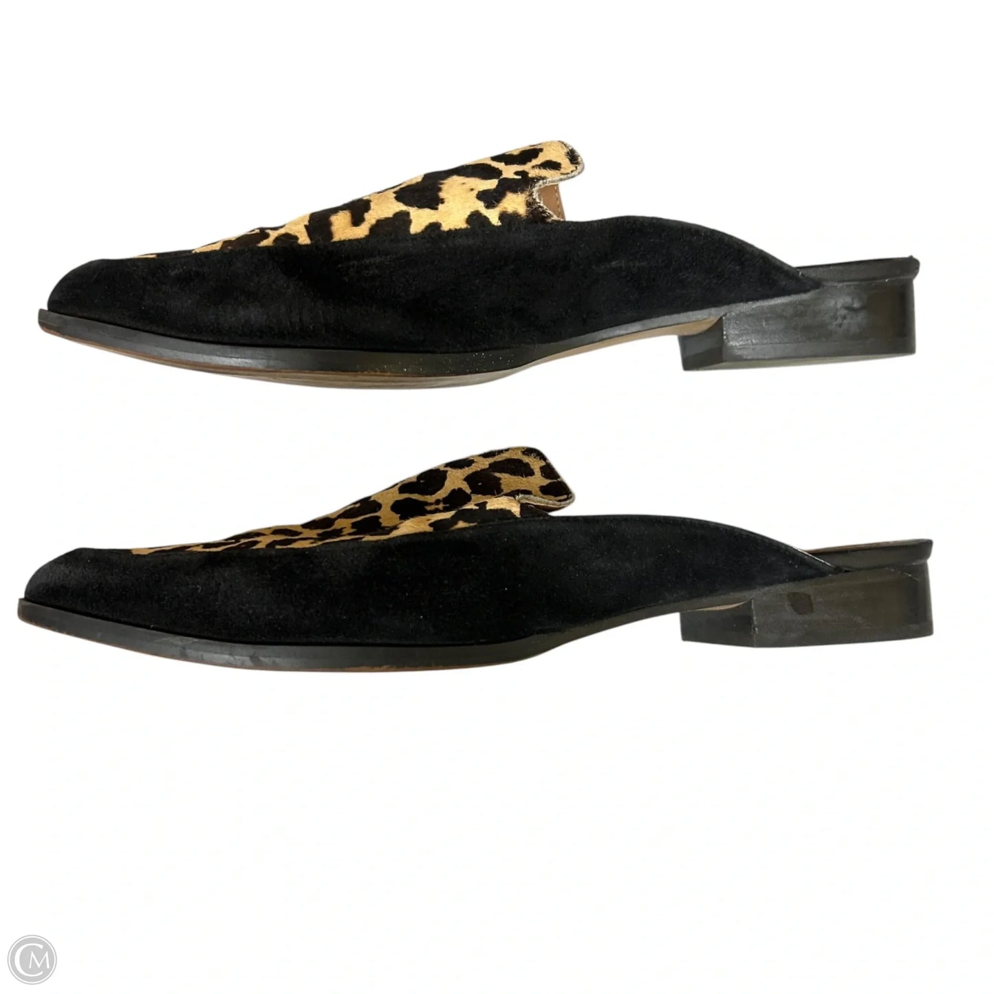 Shoes Flats By Halogen In Leopard Print, Size: 7