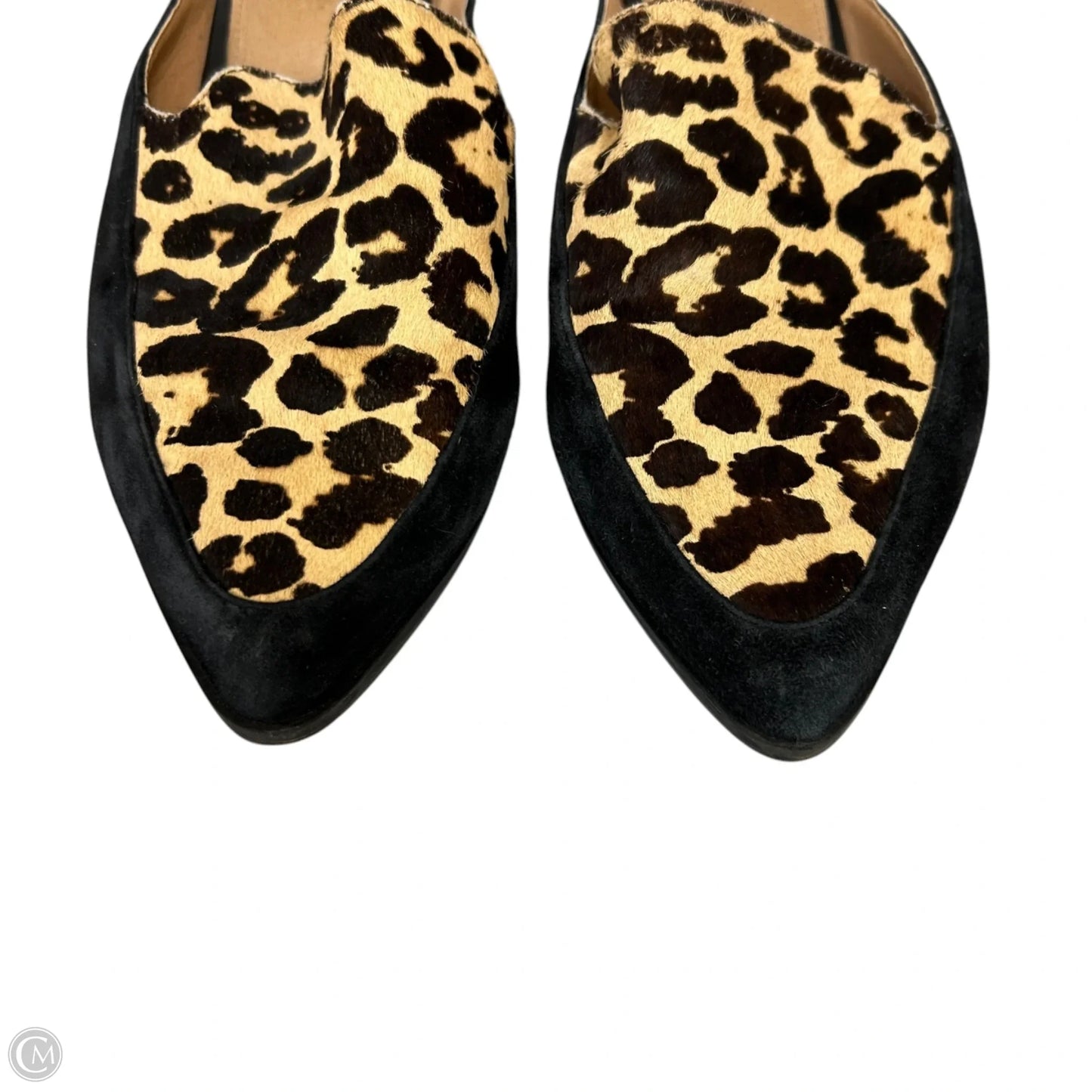 Shoes Flats By Halogen In Leopard Print, Size: 7