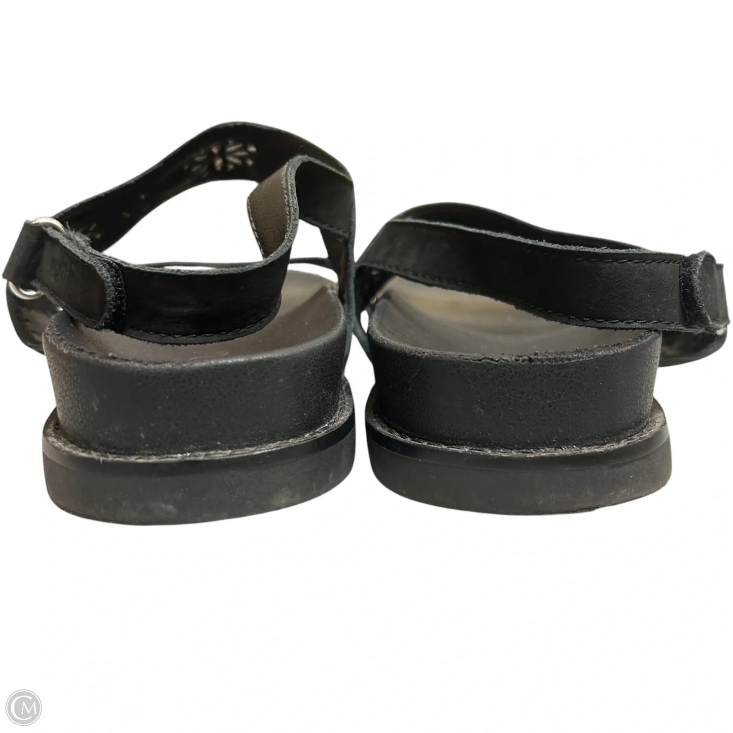 Sandals Flats By Earth In Black, Size: 10