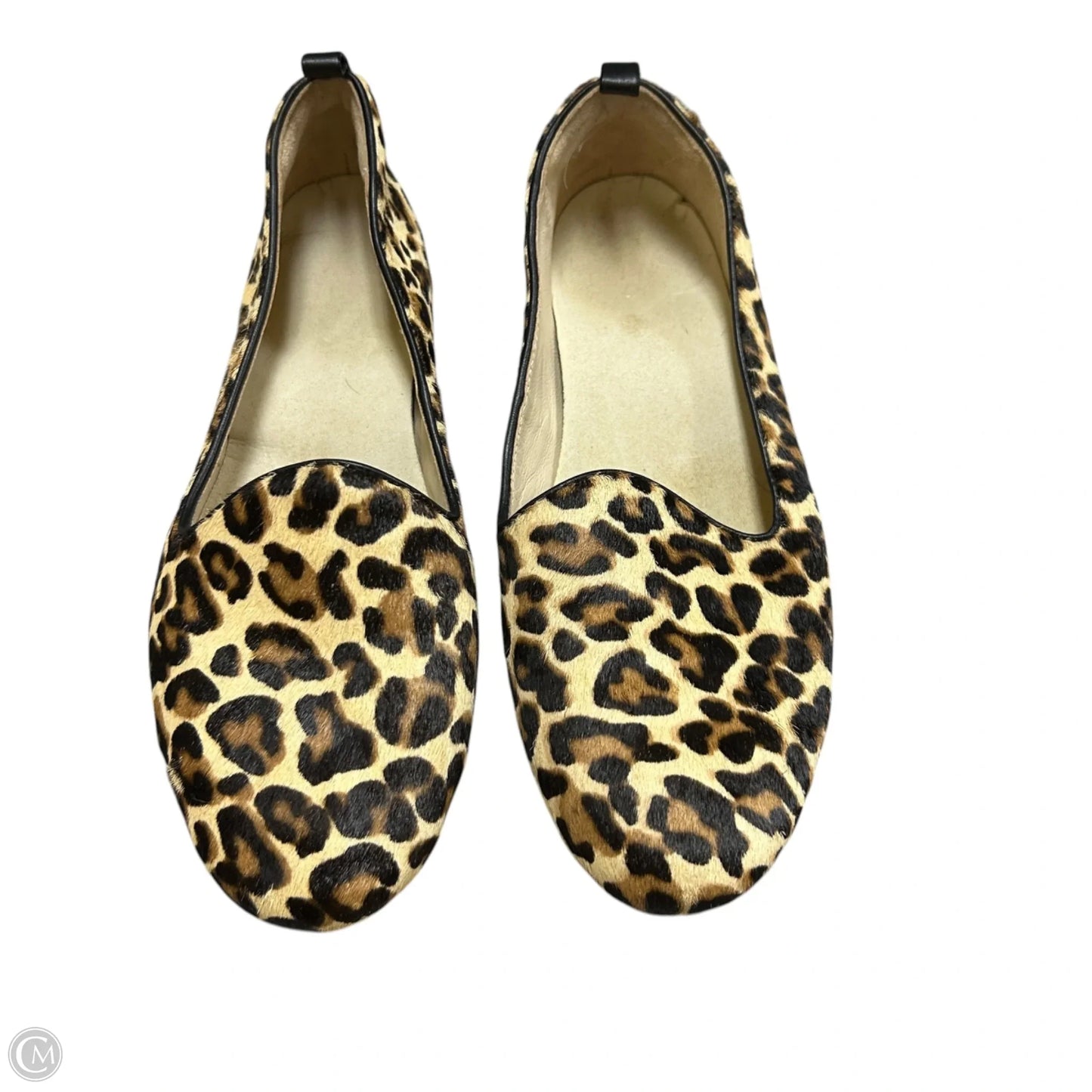 Shoes Flats By Cole-haan In Leopard Print, Size: 6