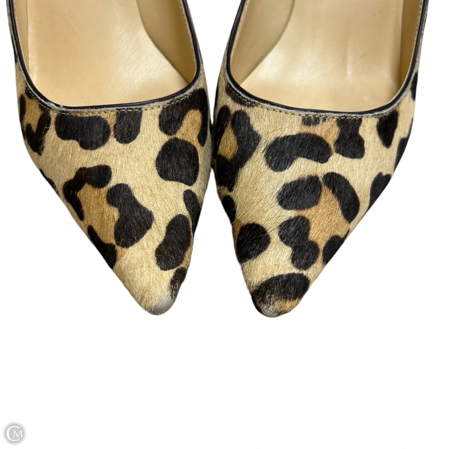 Shoes Heels Kitten By Ivanka Trump In Leopard Print, Size: 8.5