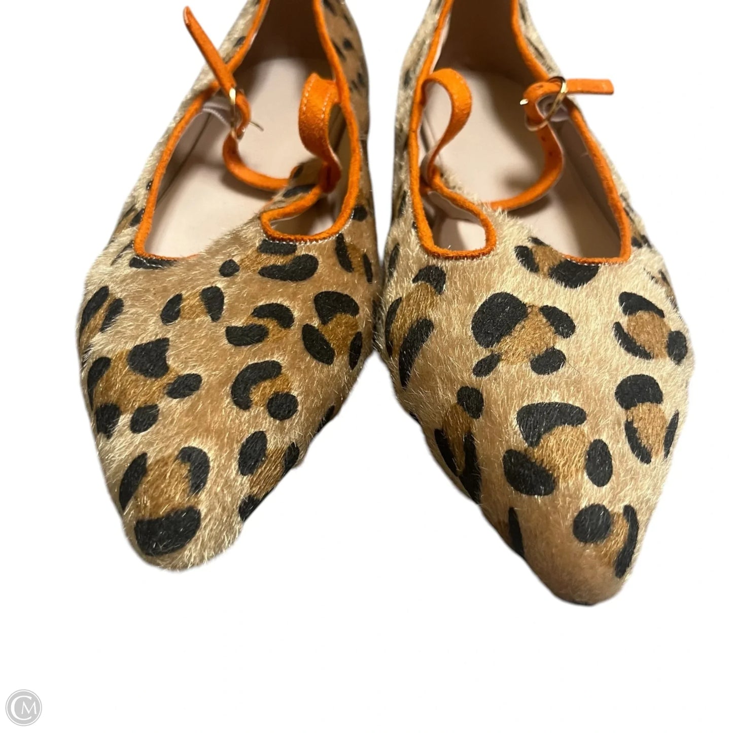 Shoes Flats In Leopard Print, Size: 11.5