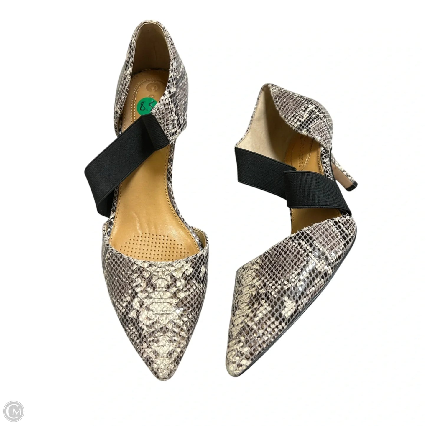 Shoes Heels Kitten By Corso Como In Snakeskin Print, Size: 8.5