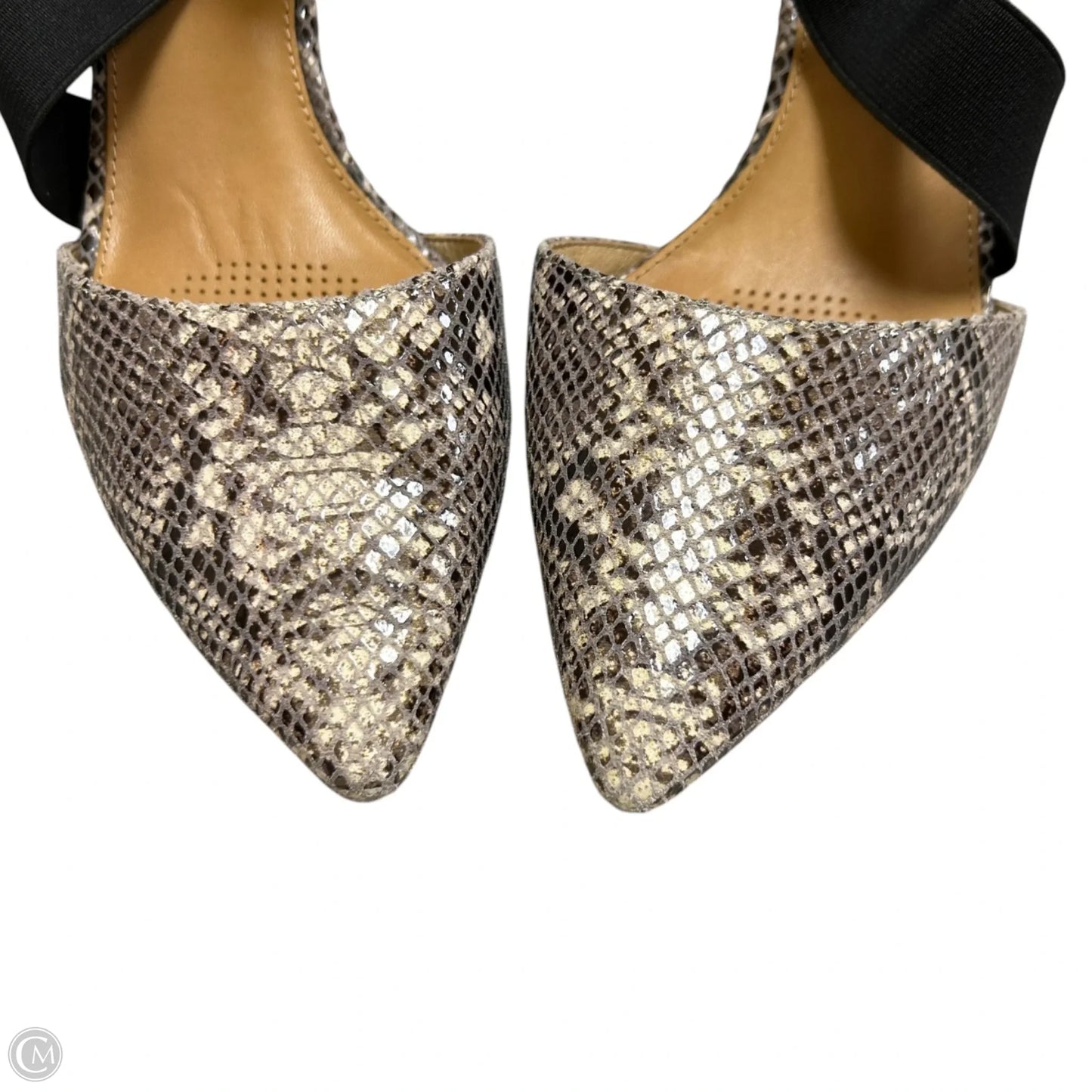 Shoes Heels Kitten By Corso Como In Snakeskin Print, Size: 8.5