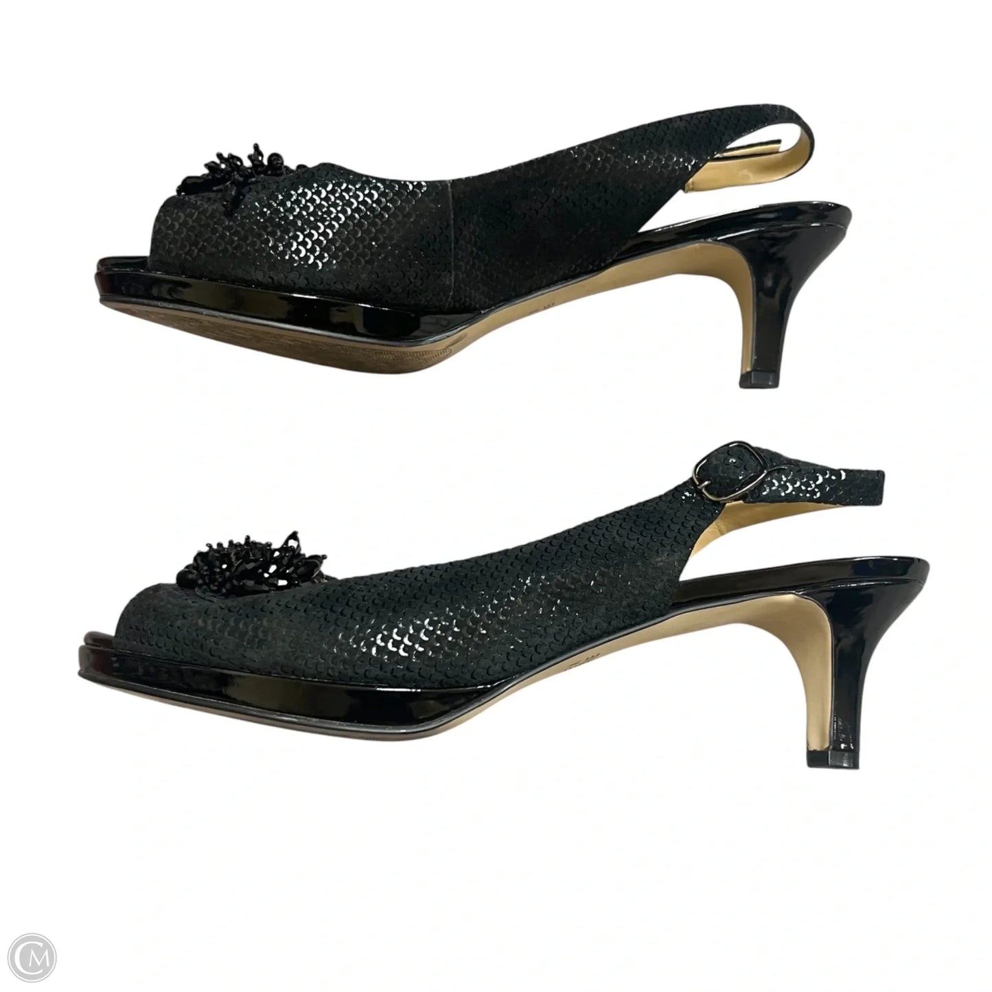 Shoes Heels Kitten By Alex Marie In Black, Size: 11