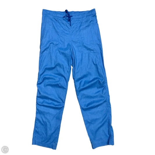 Pants Other By Patagonia In Blue, Size: 16