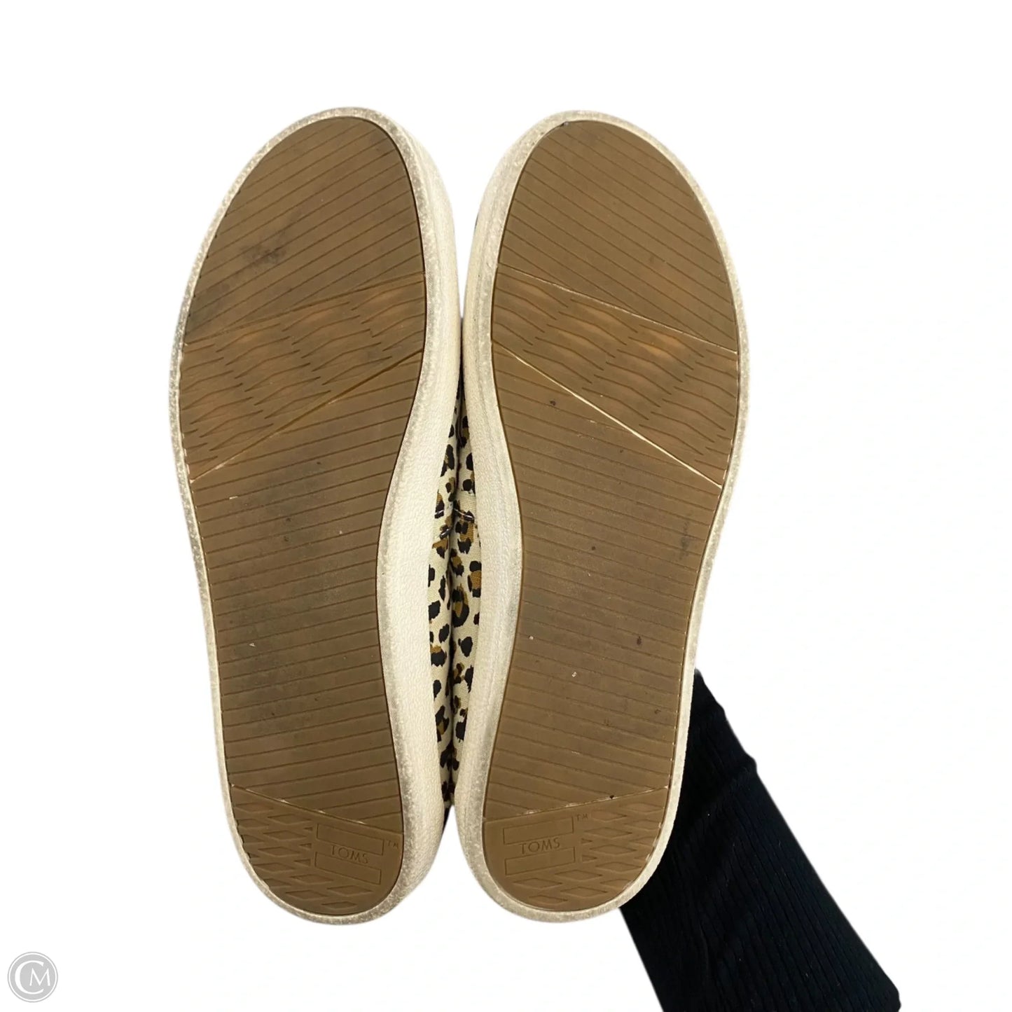 Shoes Flats By Toms In Leopard Print, Size: 7.5