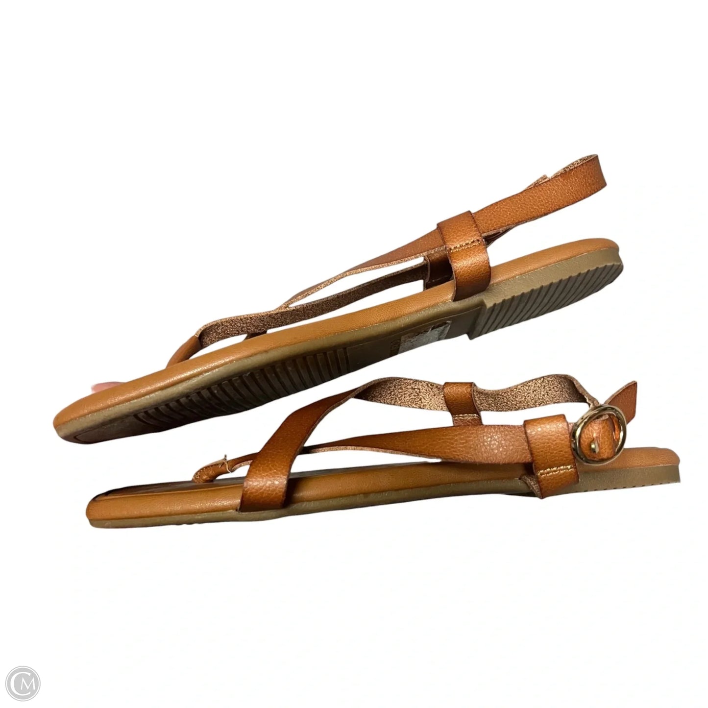 Sandals Flip Flops By Lands End In Brown, Size: 9.5