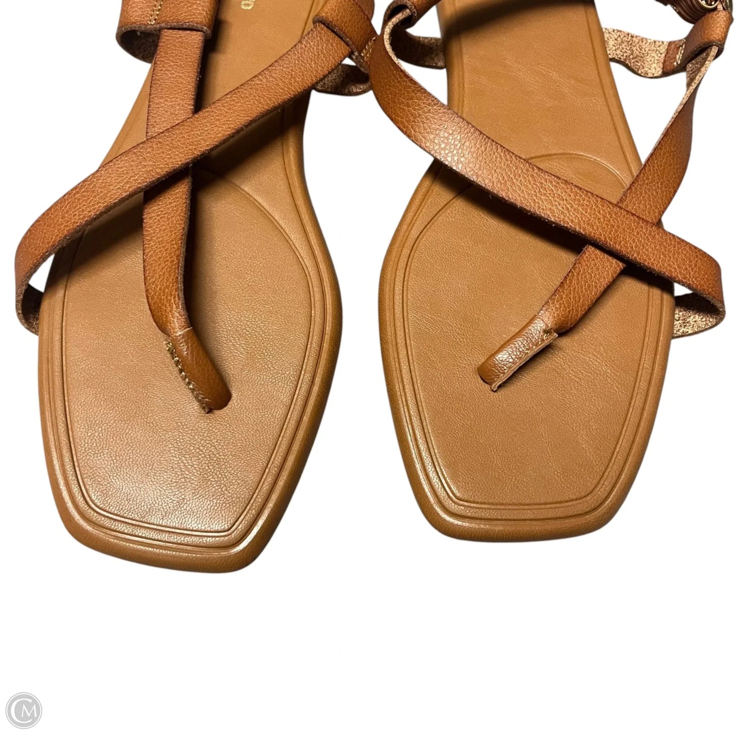 Sandals Flip Flops By Lands End In Brown, Size: 9.5