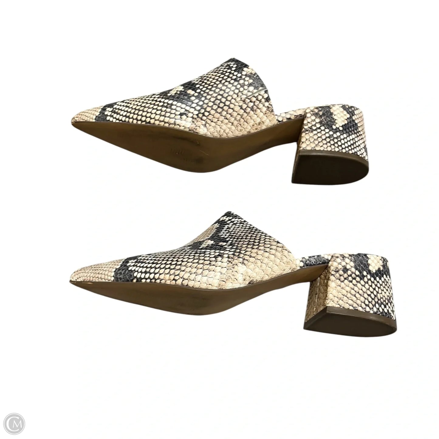 Shoes Heels Block By Steven By Steve Madden In Snakeskin Print, Size: 8
