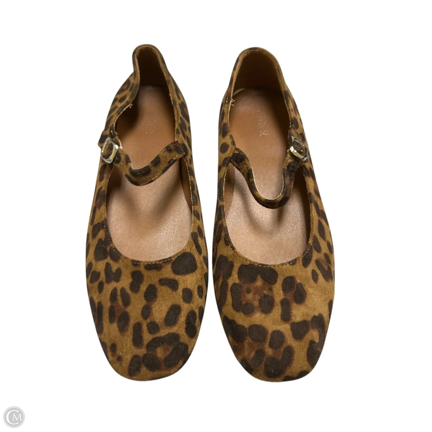 Shoes Flats By Cider In Animal Print, Size: 10.5