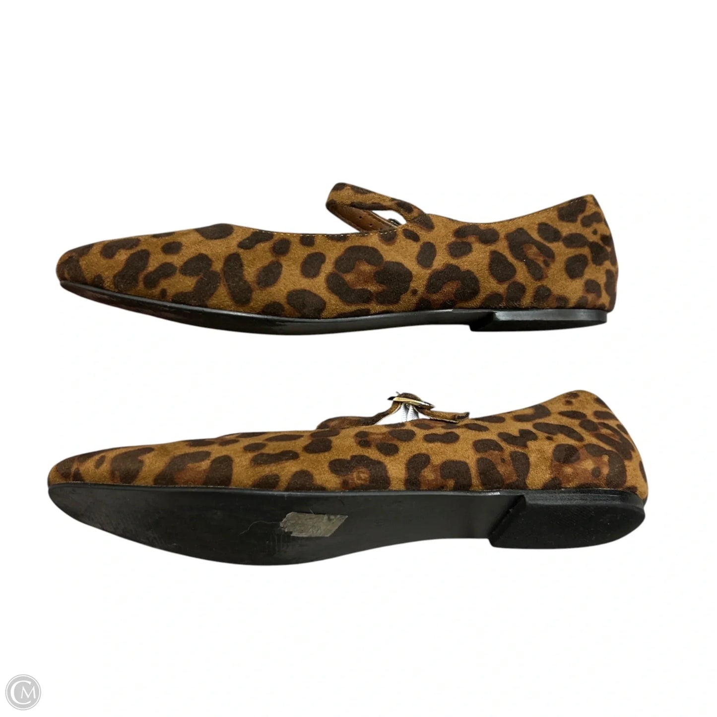 Shoes Flats By Cider In Animal Print, Size: 10.5