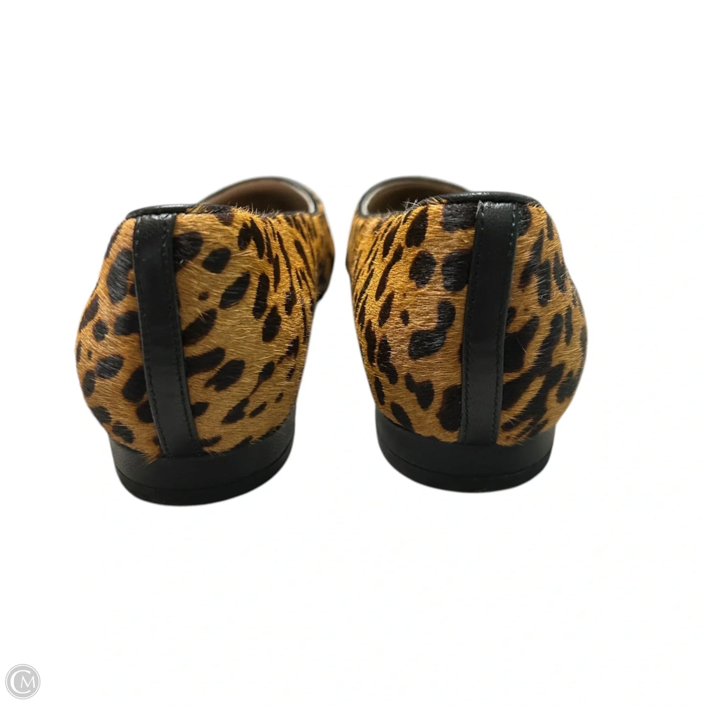 Shoes Flats By Rockport In Animal Print, Size: 8