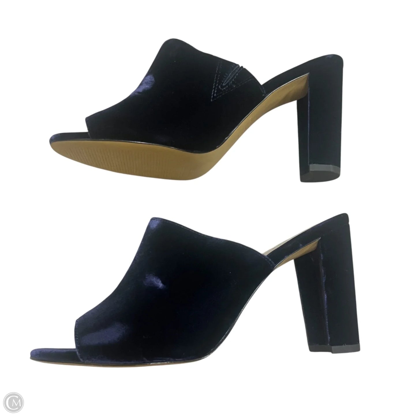Sandals Heels Block By Ann Taylor In Blue, Size: 8.5