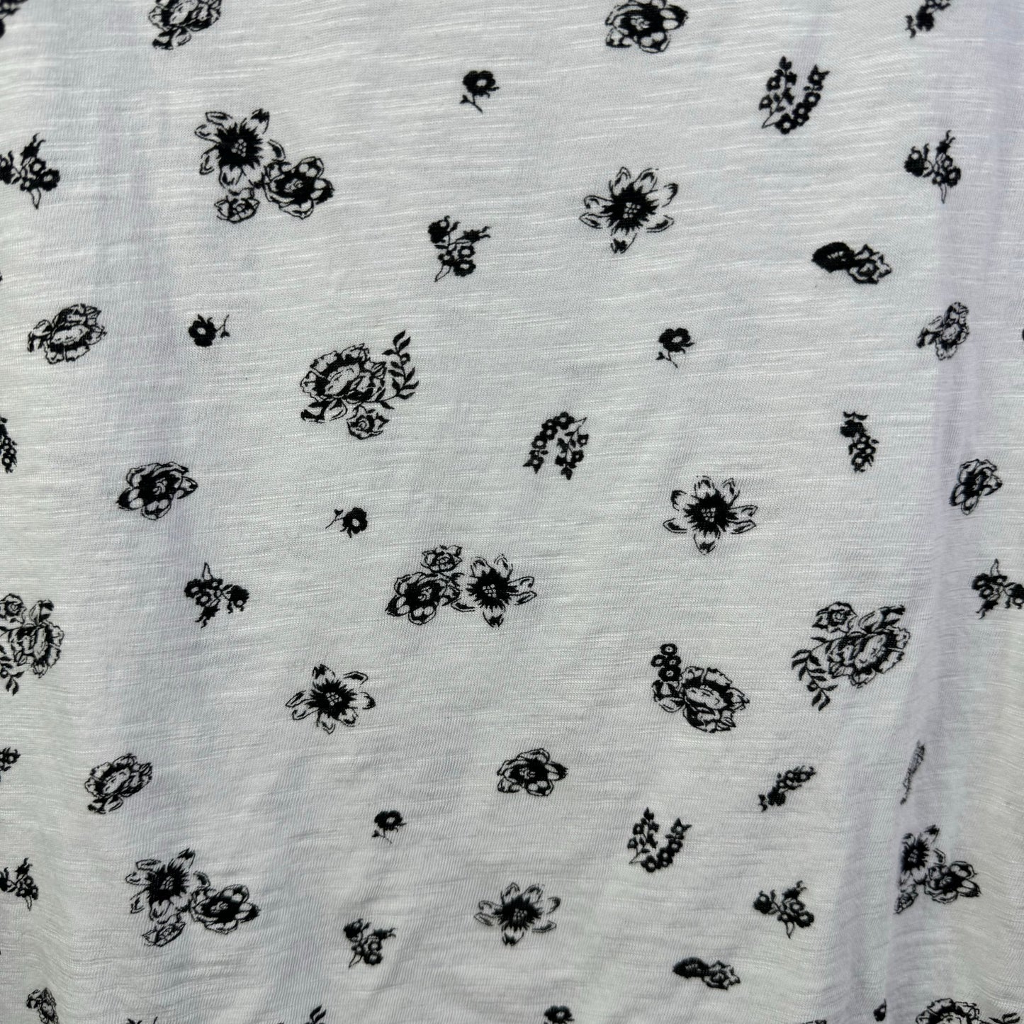 White Top Short Sleeve Basic Tahari By Arthur Levine, Size 2x