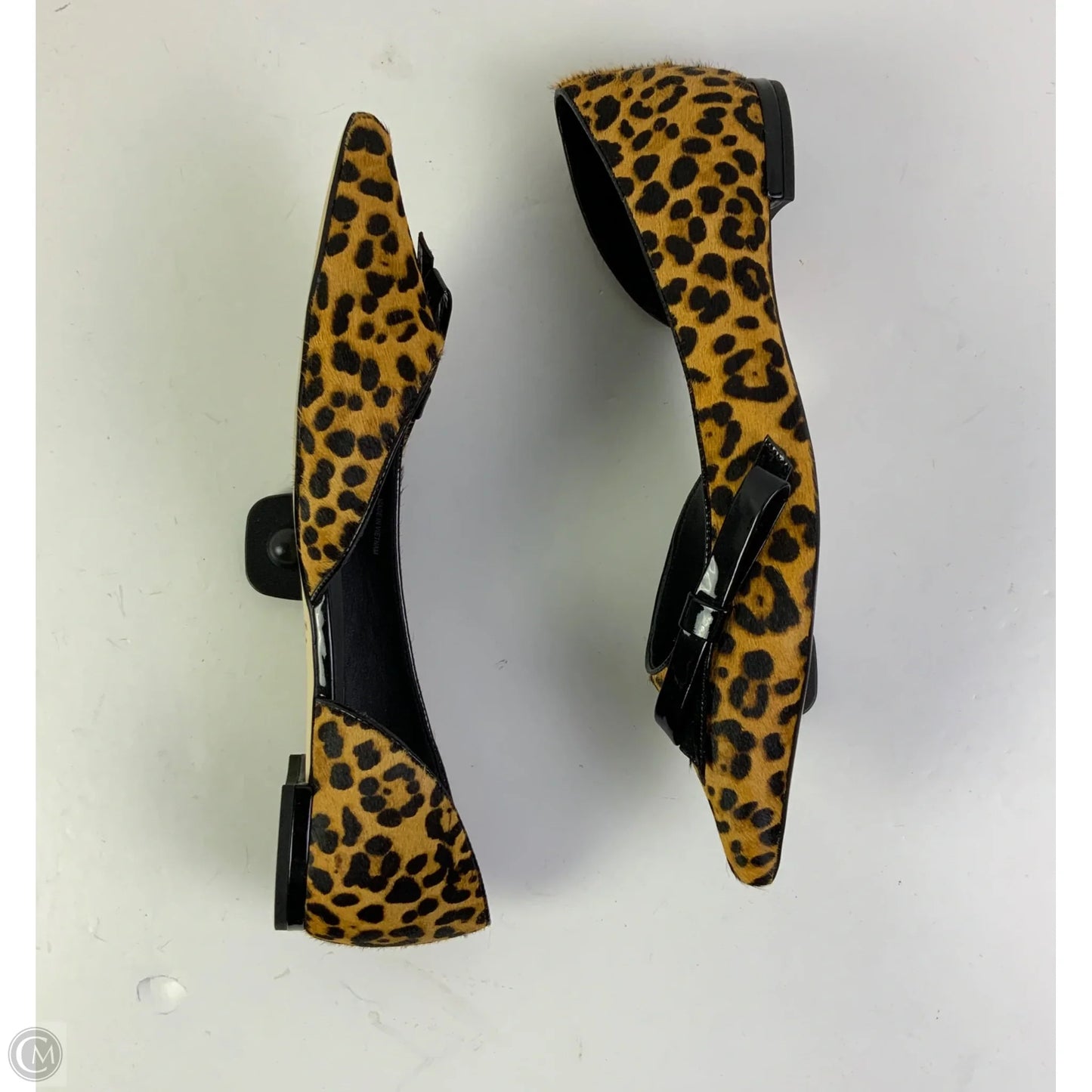 Shoes Flats By Cole-haan In Animal Print, Size: 8.5
