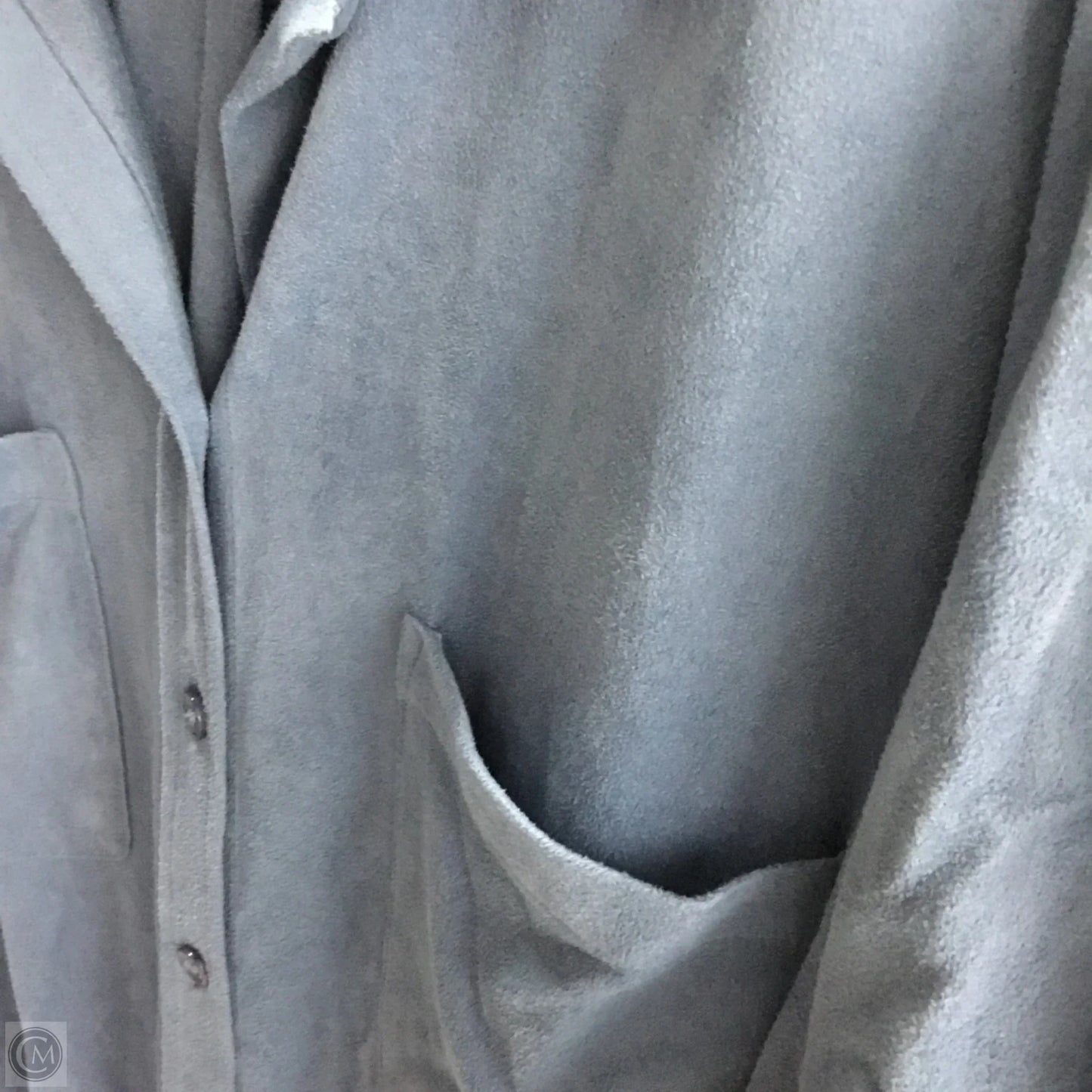 Top Long Sleeve By Chicos In Blue, Size: 2x