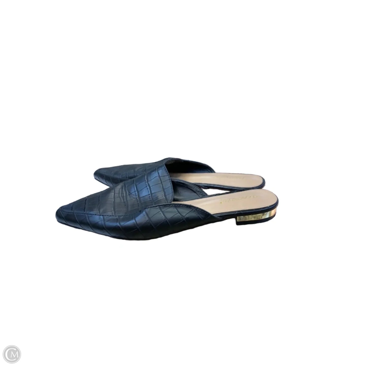Shoes Flats By Shoedazzle In Black, Size: 10