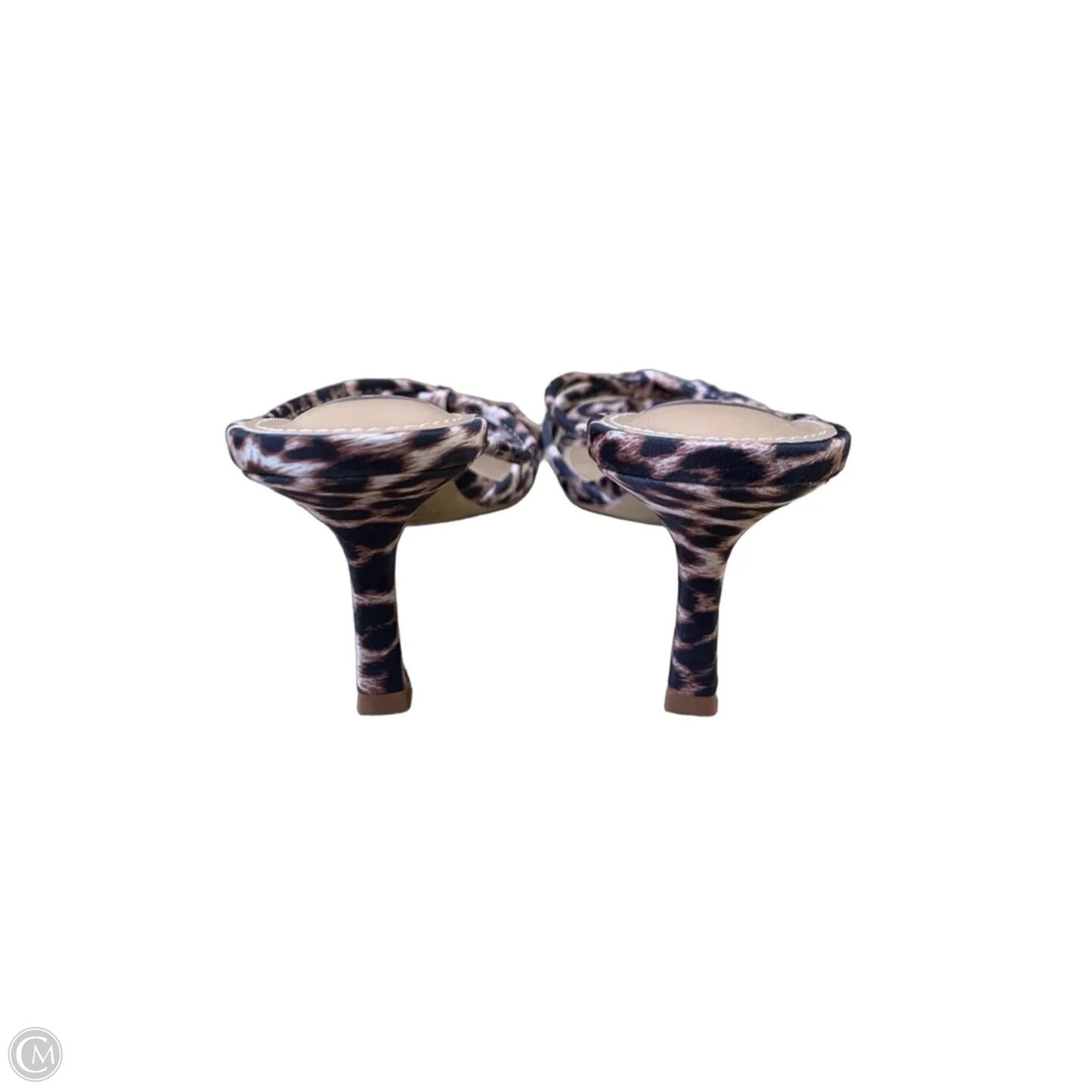 Shoes Heels Kitten By Dolce Vita In Animal Print, Size: 8