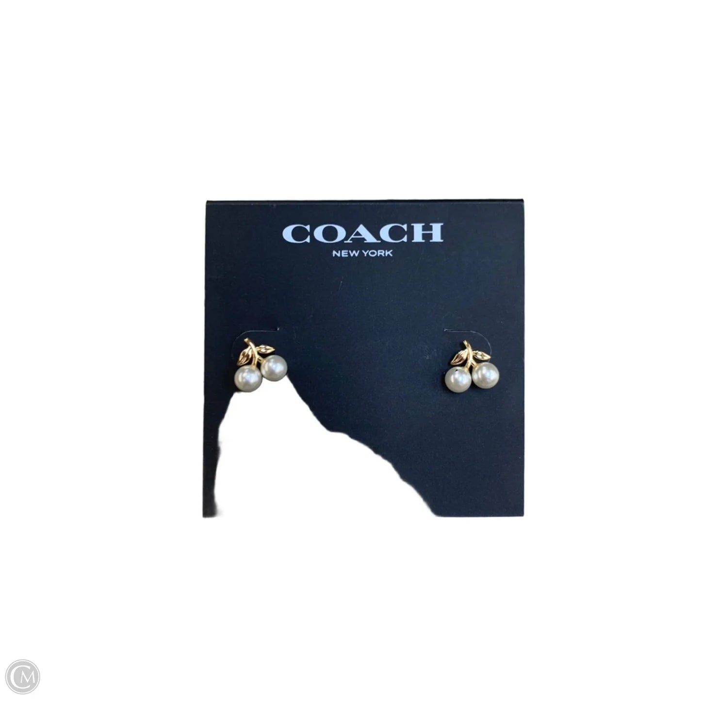 Earrings Designer By Coach