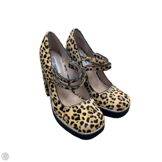 Shoes Heels Block By Steve Madden In Animal Print, Size: 8.5