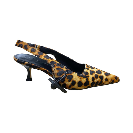 Shoes Heels Kitten By Yosi Samra In Animal Print, Size:9.5