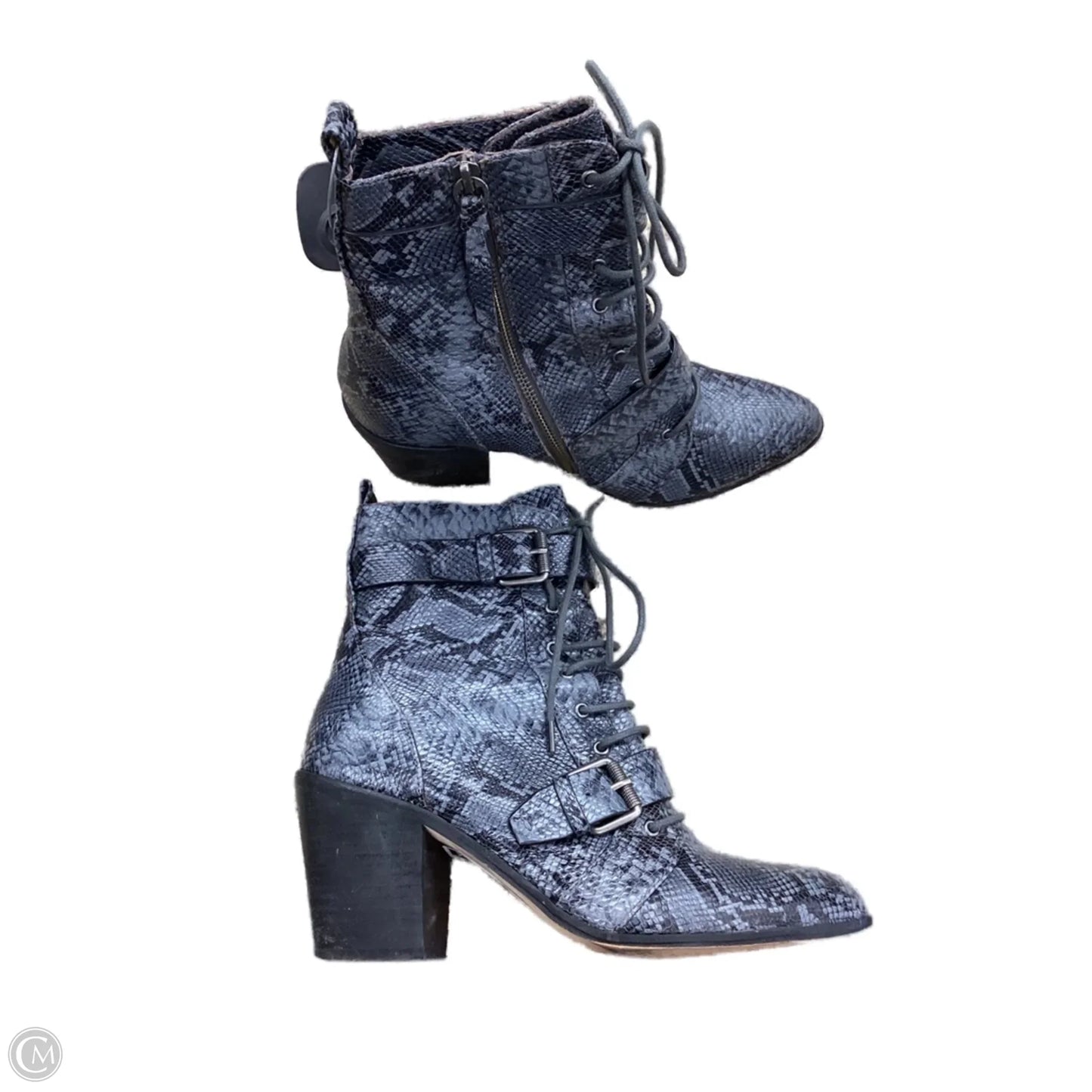 Boots Ankle Heels By Splendid In Animal Print, Size: 10