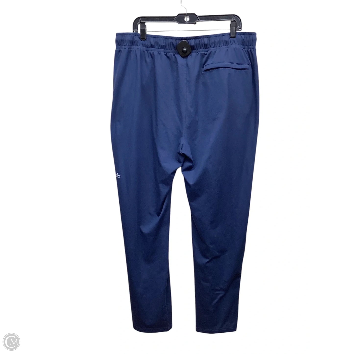 Pants Joggers By Alo In Blue, Size: 2x
