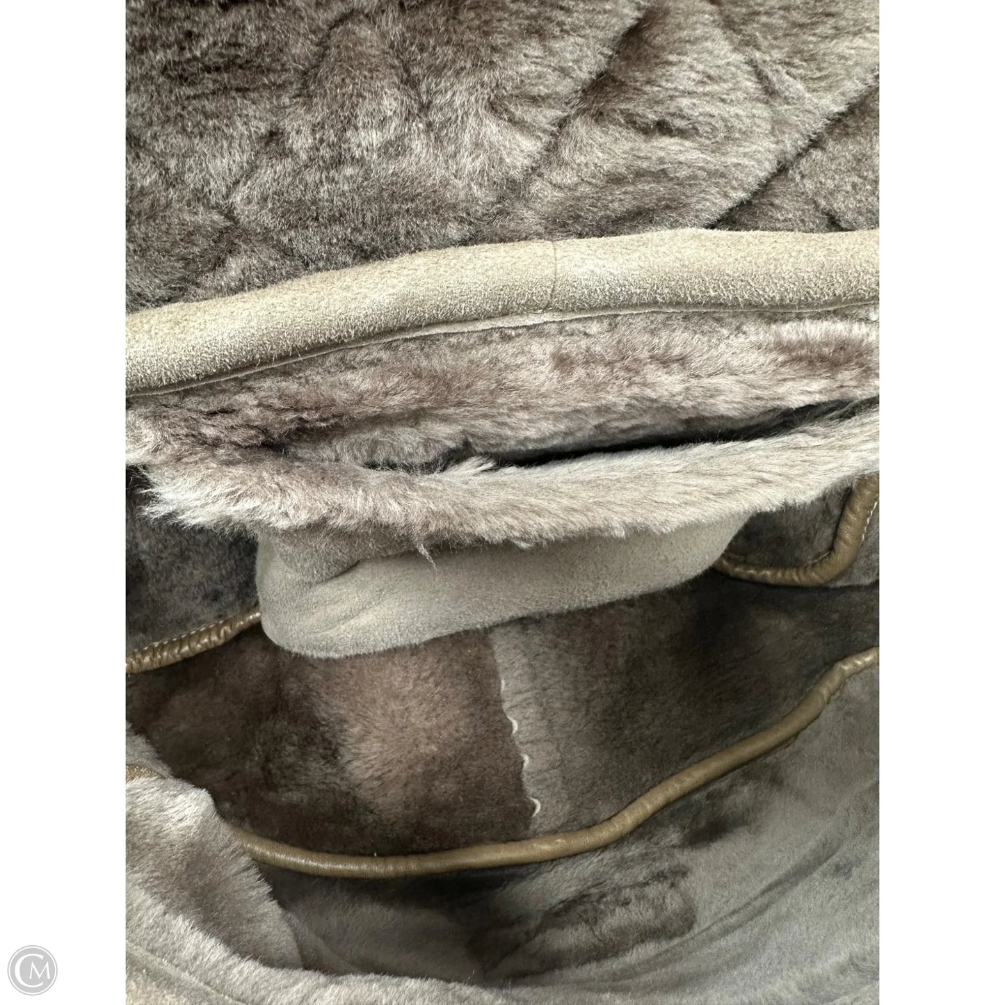 Handbag Luxury Designer By Chanel, Size: Medium