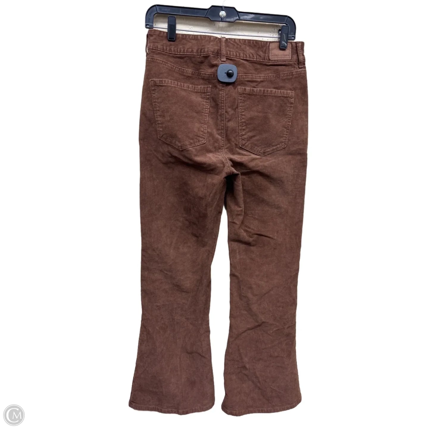 Pants Corduroy By American Eagle In Brown, Size: 8