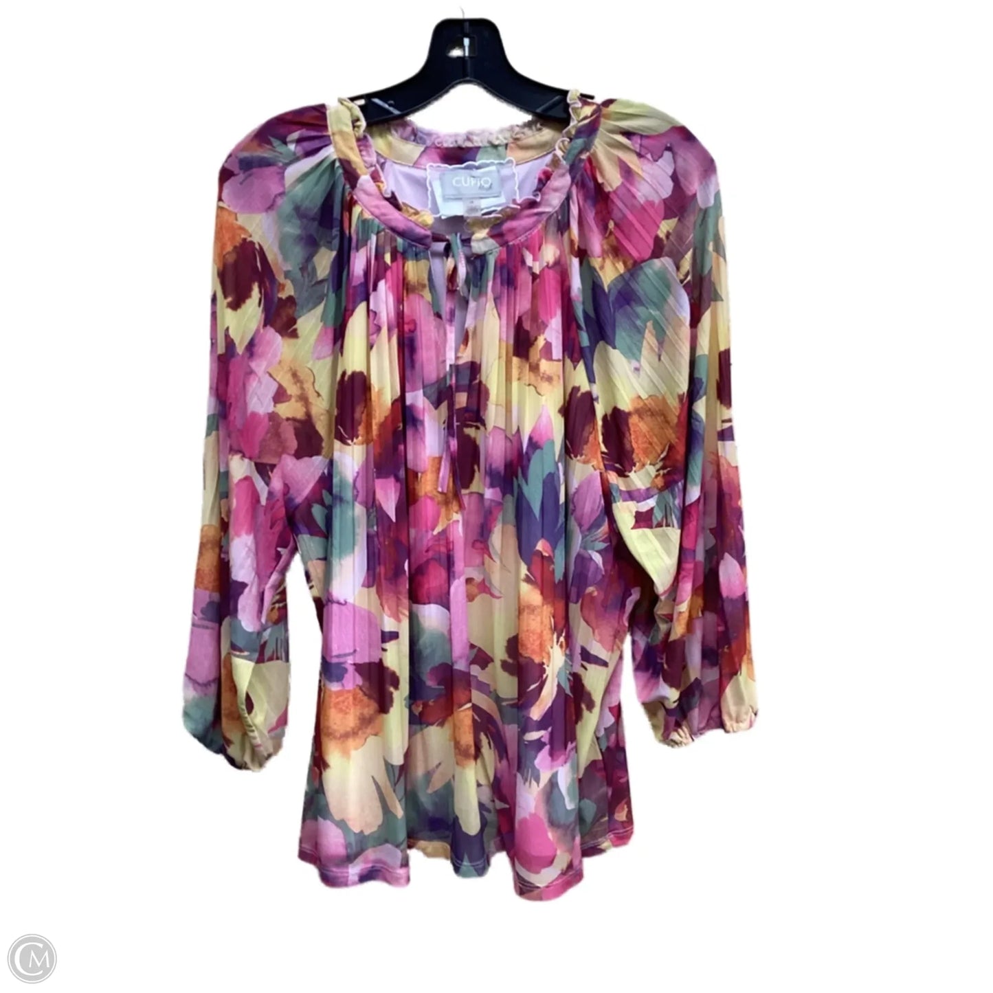Top Long Sleeve By Cupio In Floral Print, Size: 2x