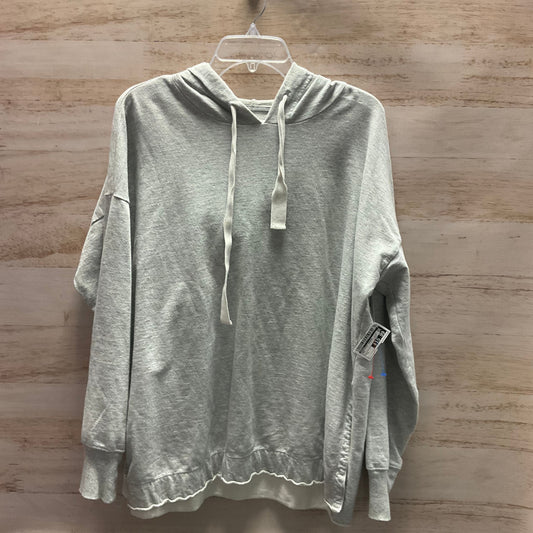 Sweatshirt Hoodie By Aerie In Grey, Size: L