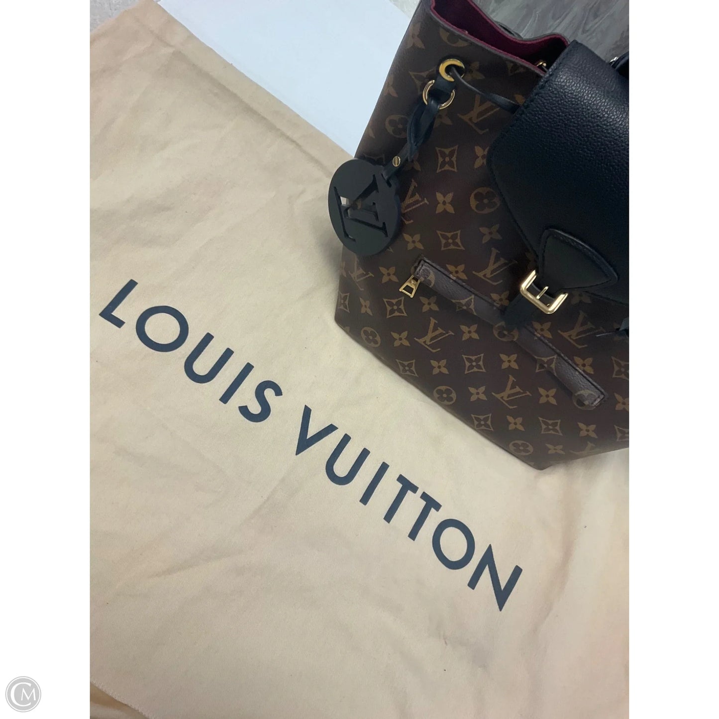 Backpack Luxury Designer By Louis Vuitton, Size: Medium