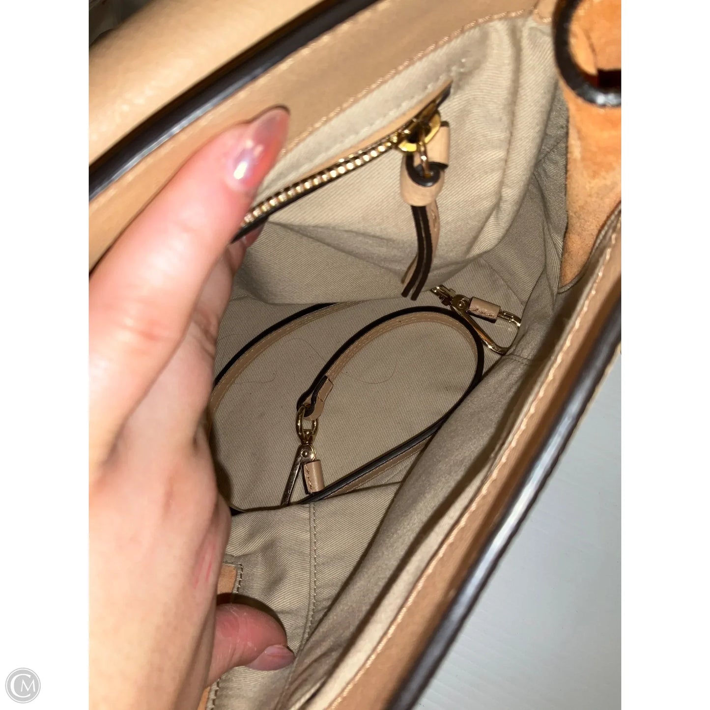 Backpack Luxury Designer By Chloe, Size: Small