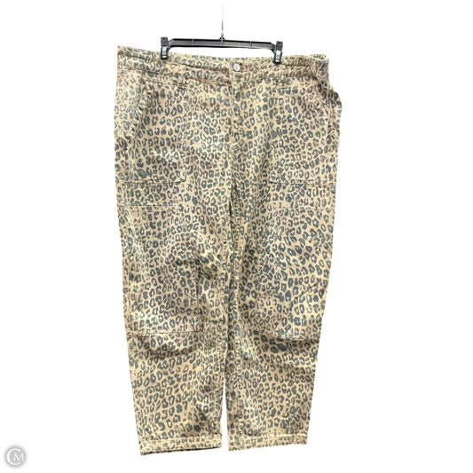 Pants Other By Pilcro In Animal Print, Size: 16