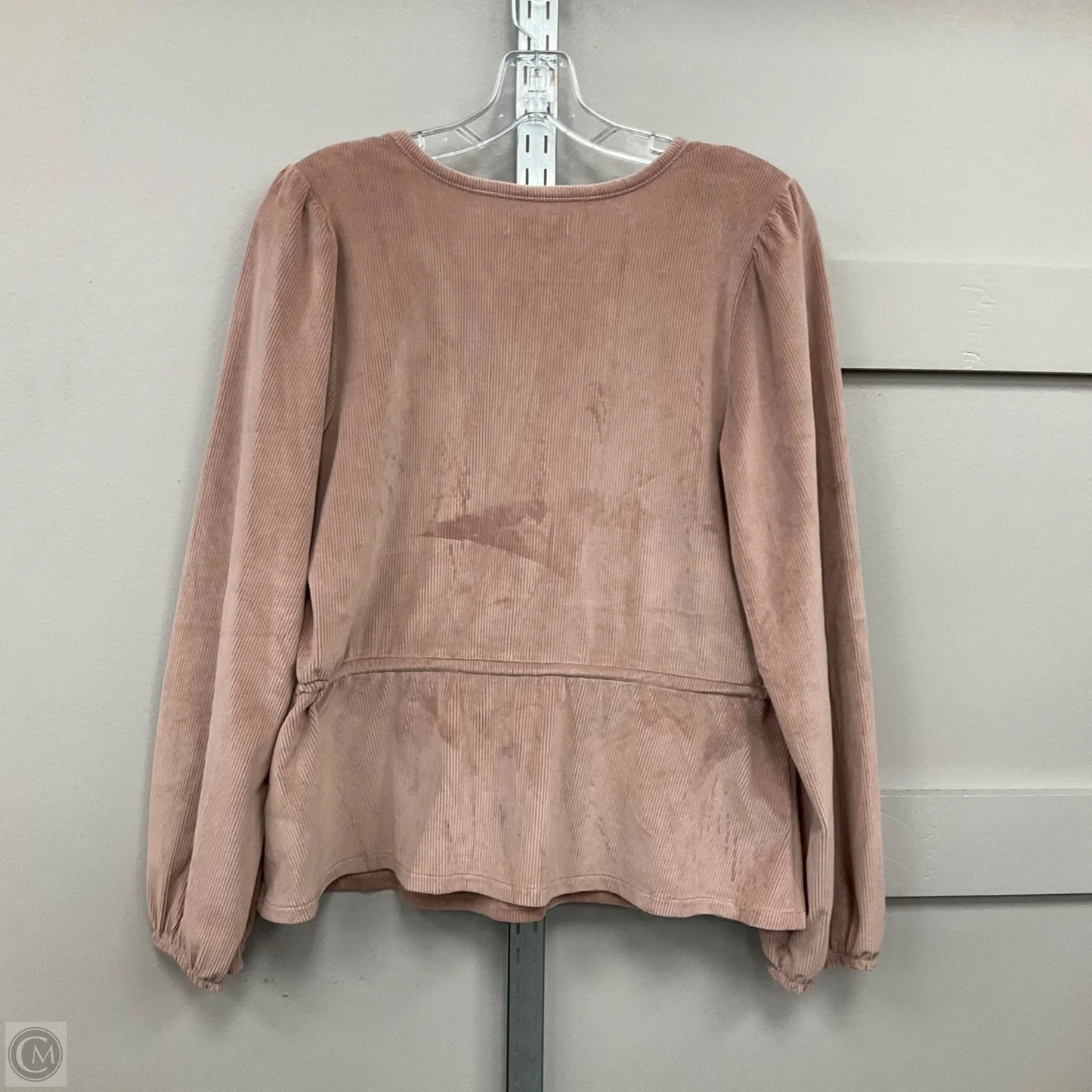 Top Long Sleeve By Madewell In Pink, Size: L