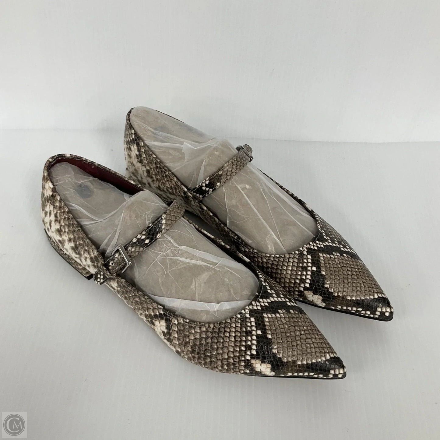 Shoes Flats By Franco Sarto In Snakeskin Print, Size: 7