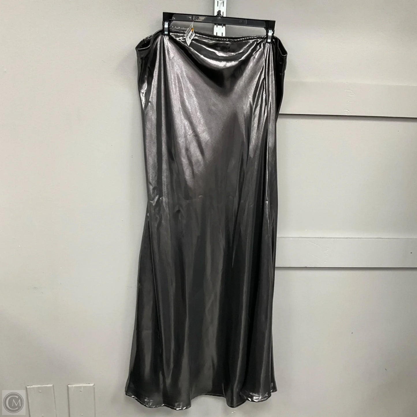 Skirt Maxi By Wild Fable In Silver, Size: L