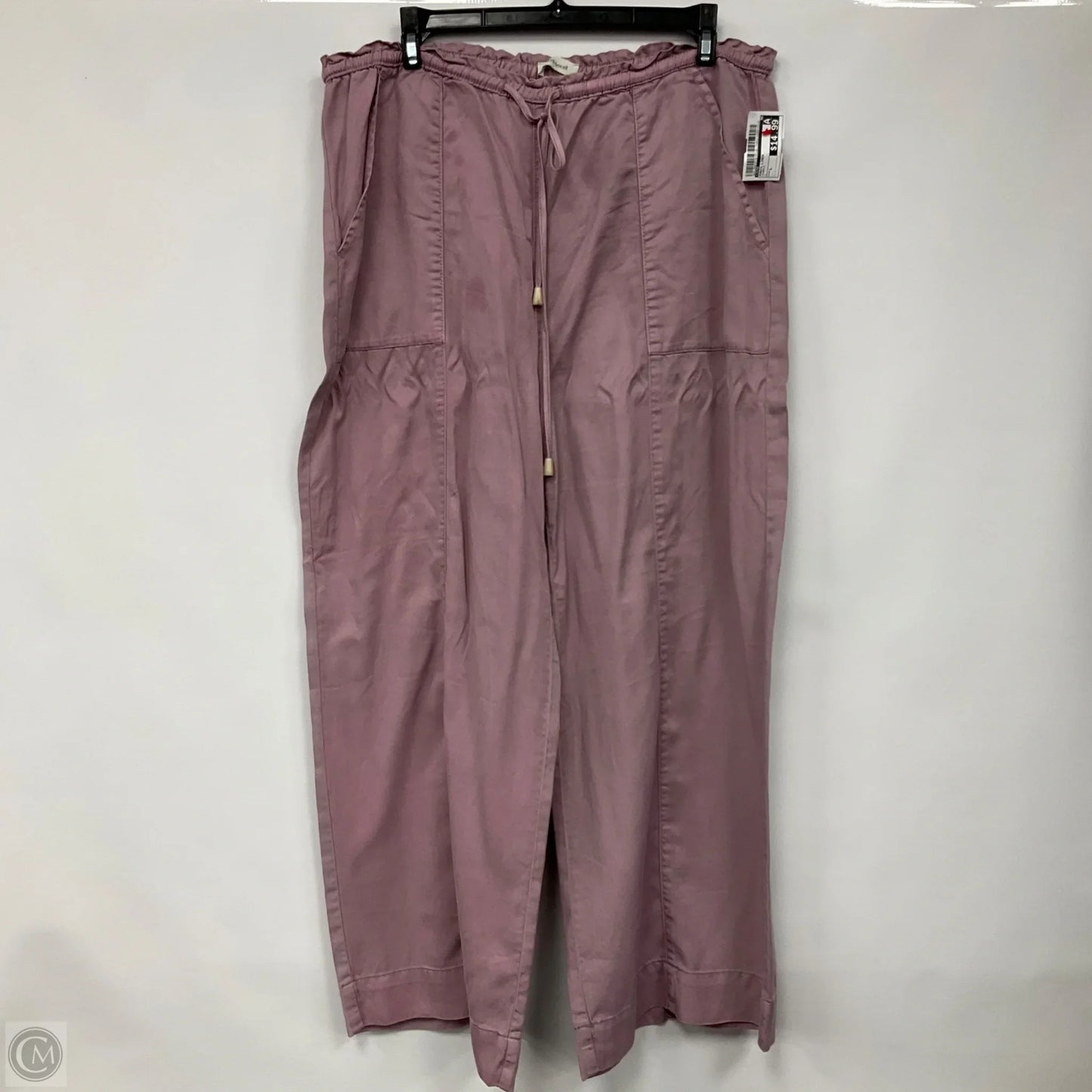 Pants Linen By Joie In Purple, Size: L