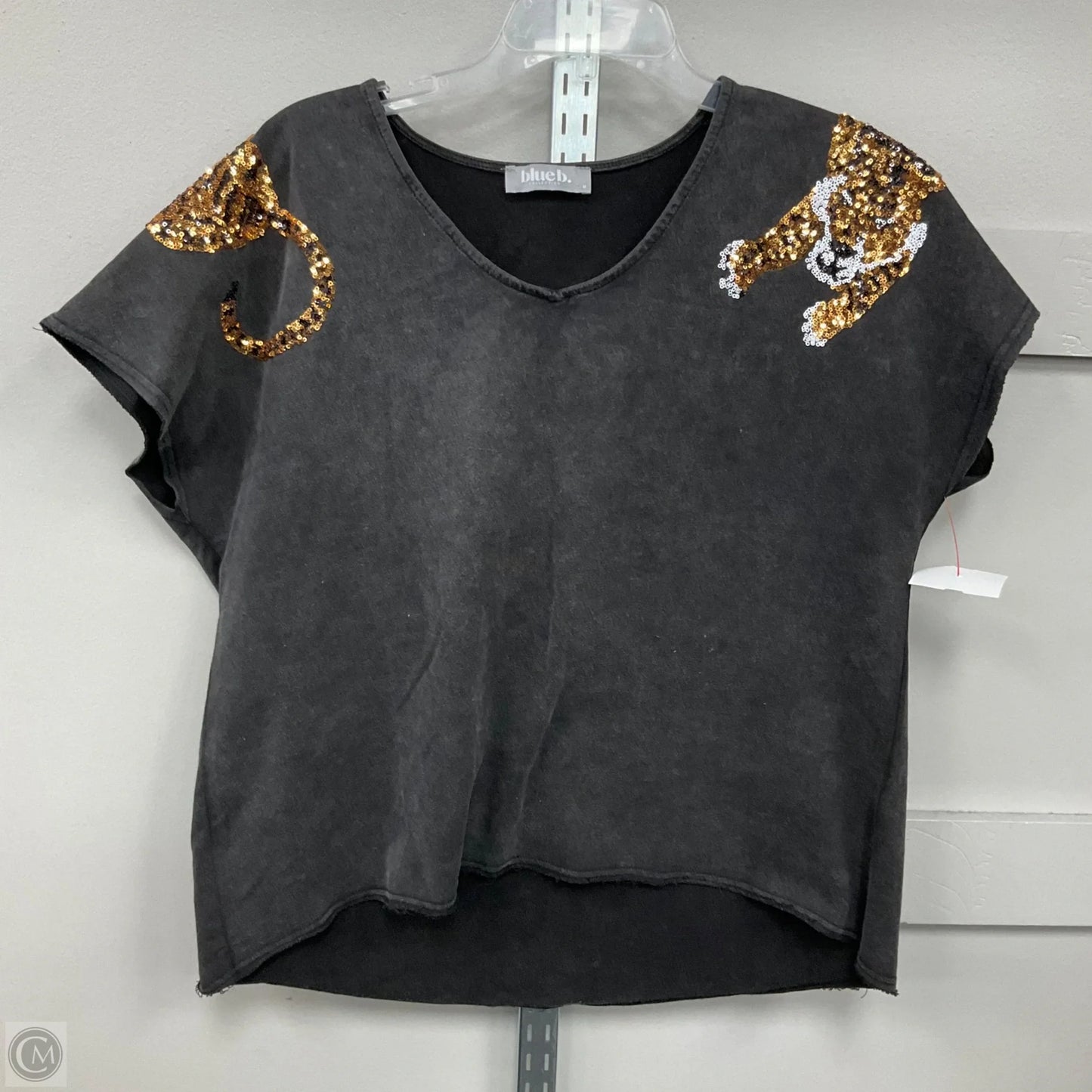 Top Short Sleeve By Blue B In Black, Size: M