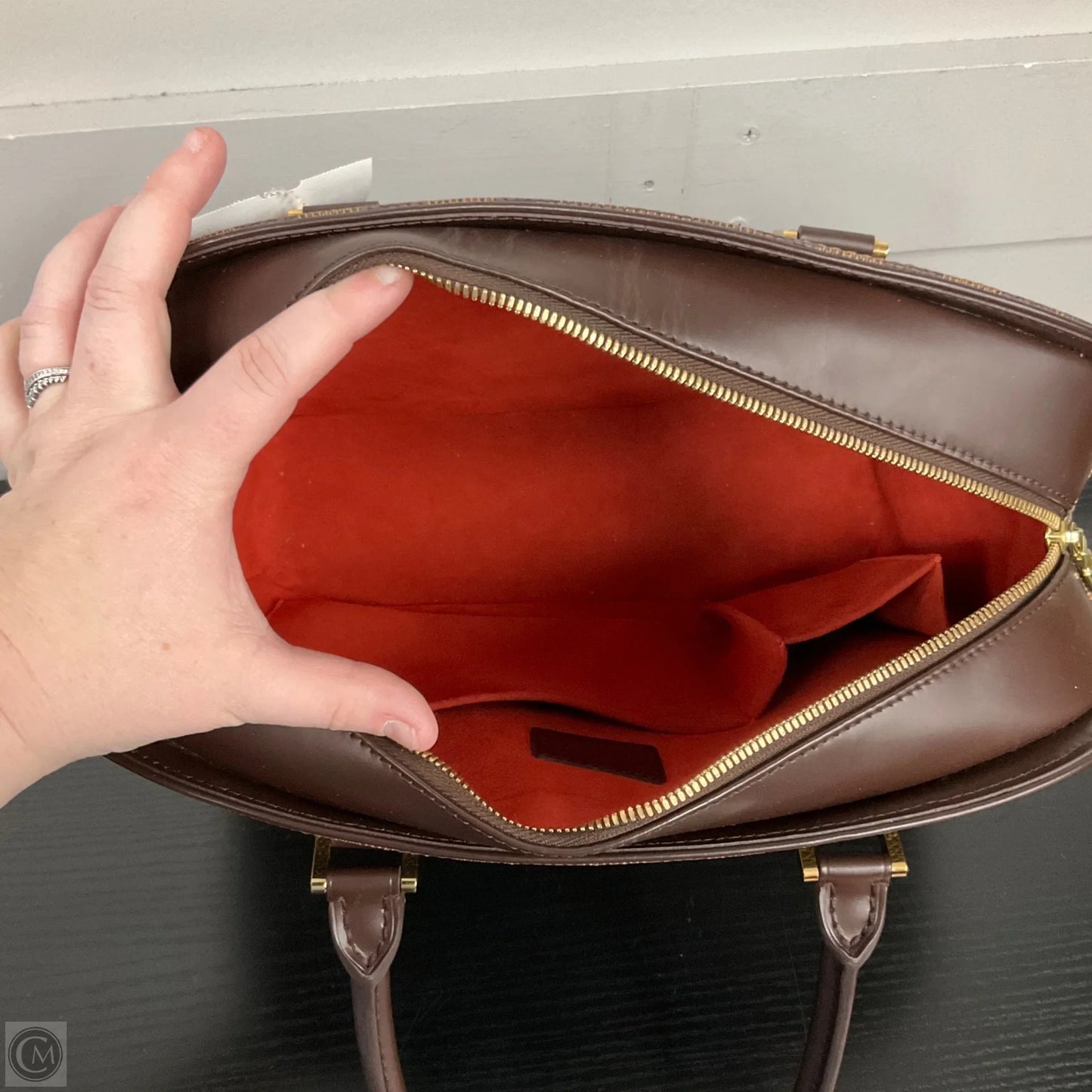 Handbag Luxury Designer By Louis Vuitton