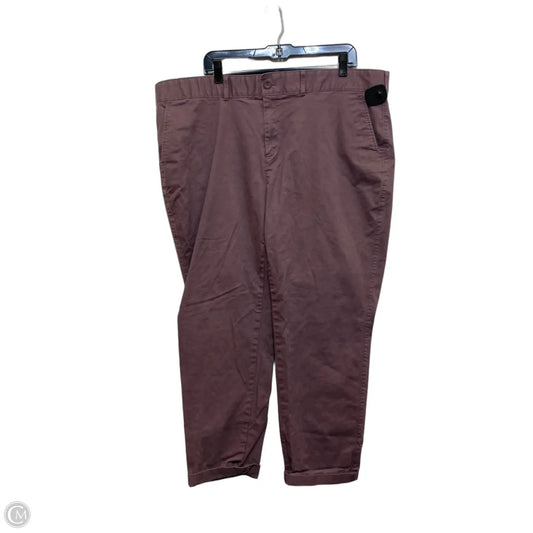 Pants Chinos & Khakis By Eddie Bauer In Purple, Size: 20
